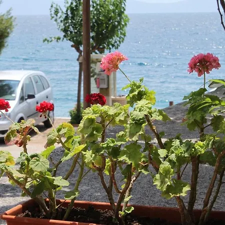 6725b * Podgora (Split-Dalmatia)